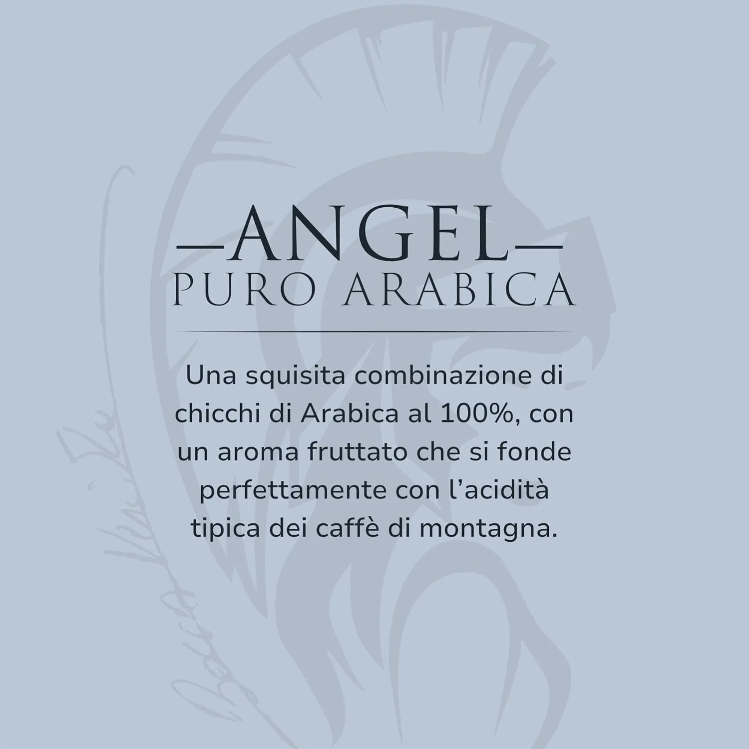 LATTINA Decorativa in Alluminio con Chiusura Ermetica CON CAFFÈ Macinato di 250G 100% Arabica